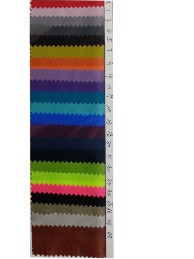 DG-BICG BC-1901 尼龍    背囊面料 正面照